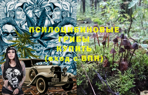 ALPHA-PVP Алексеевка