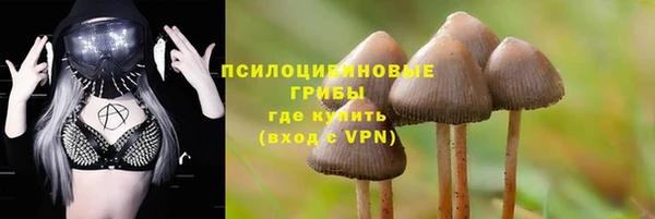 ALPHA-PVP Алексеевка