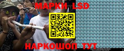 кокс Нальчик