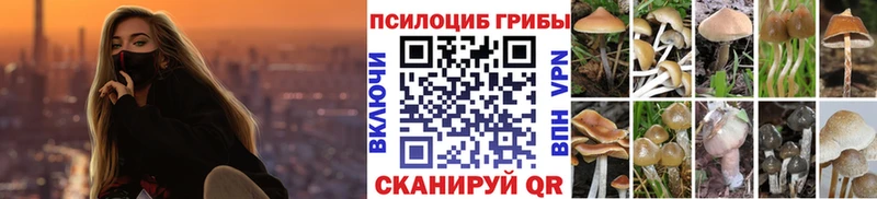 наркошоп  Ступино  Псилоцибиновые грибы прущие грибы 