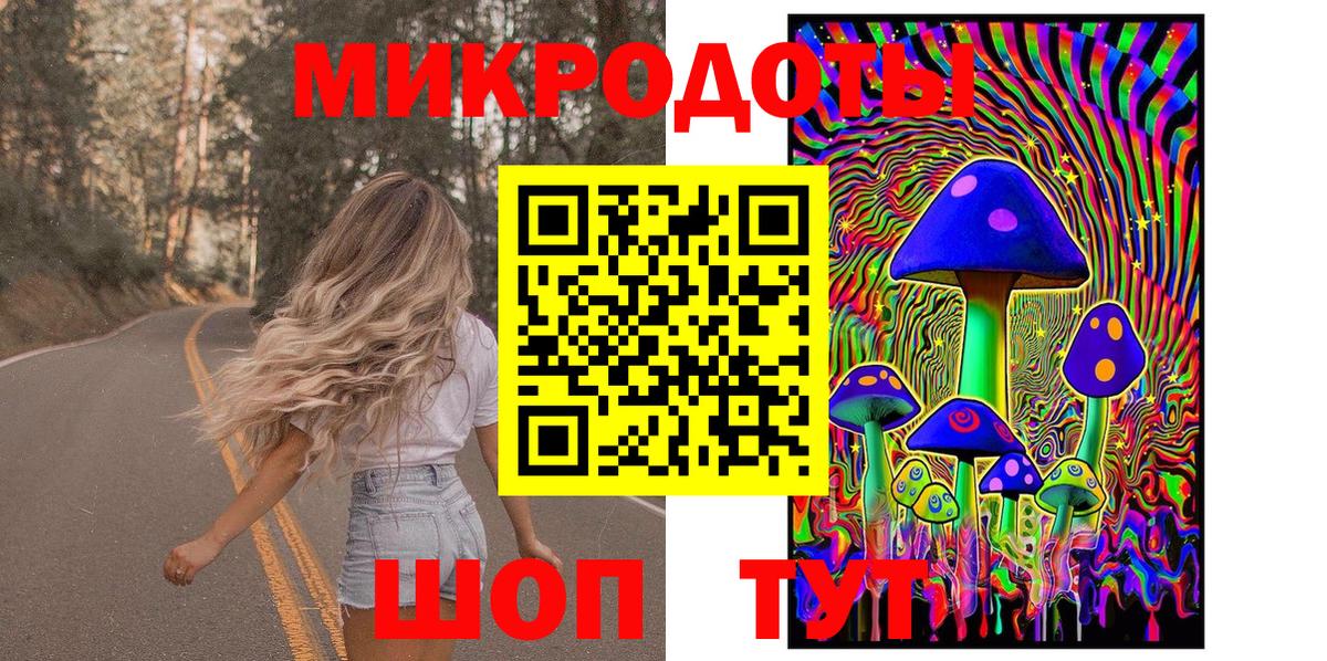 Псилоцибиновые грибы Psilocybine cubensis Ступино